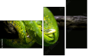 52158652