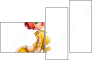 52176719