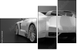52445561