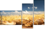 52793015