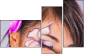 52845719