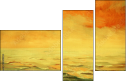 53049559
