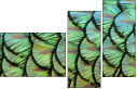53512479