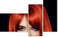 53895849