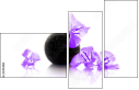 54154961