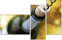 54440683