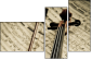 54506799