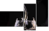 54808918
