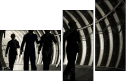 54870569