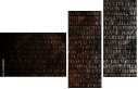 54969981