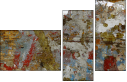 55026484