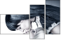 55810226