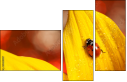 55820987