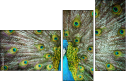 55839349
