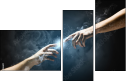 55886651