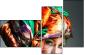 56076914