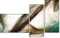56562123