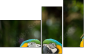 56795972