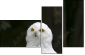 57060206