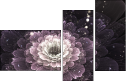 57185040