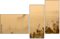 57269660