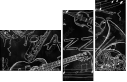57321160