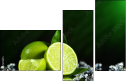 57479075