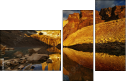 57649944