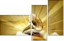 57686954