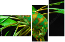 57907029