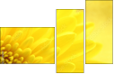 57915870
