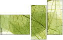 58647115
