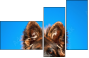 58783058