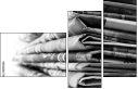 58912446
