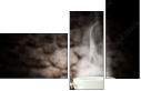 59781702