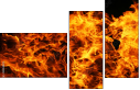 59859879