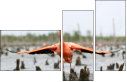 59910019