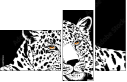 60173514