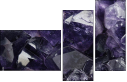 60182328