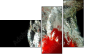 60316396