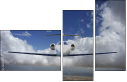 60525051
