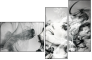 60831181