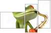 61064251