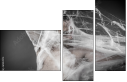 61353974