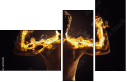 61751589