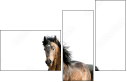 62618176