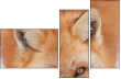62758452