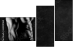 63490164
