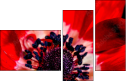 64202605