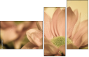 65771321